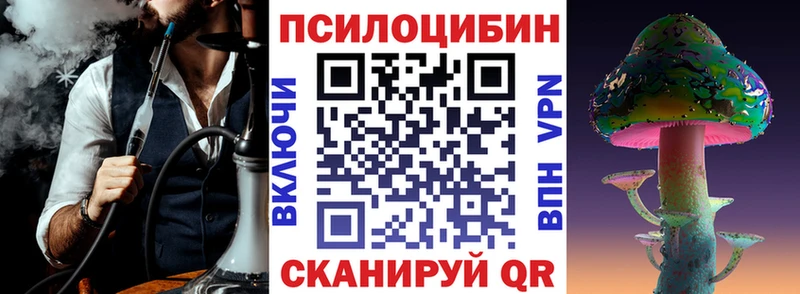Купить закладки  Бор  Галлюциногенные грибы Psilocybe 