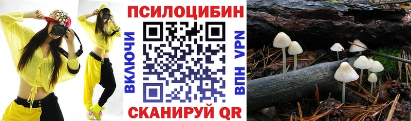 Псилоцибиновые грибы мухоморы Бор